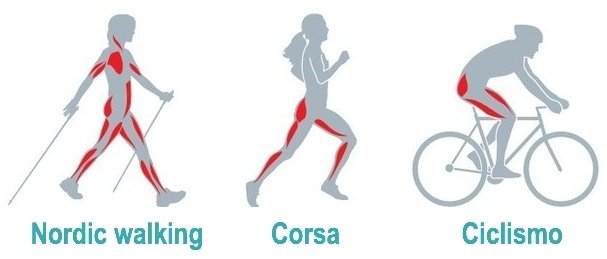 nordic walking benefici e muscoli coinvolti